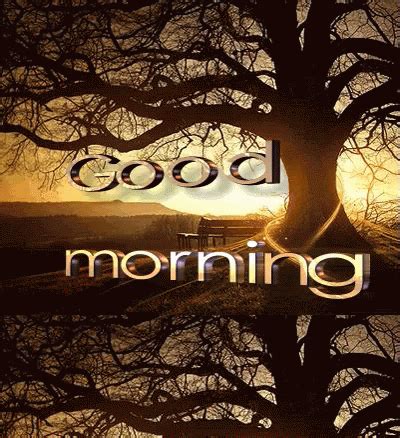 In good morning category page 1, you will get beautiful animated gifs and awesome glitter images. Good Morning GIF - GoodMorning - Discover & Share GIFs