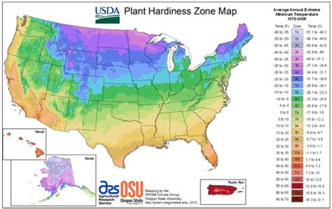 How To Understand Usda Hardiness Zones Farm And Dairy