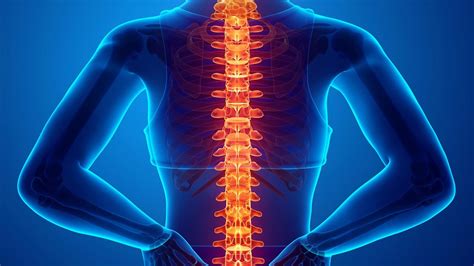 Common Spine Conditions And Diseases