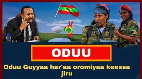 Oduu Haaraa Guyyaa Haraa Oromiyaa Keessa Jiru 2024 Ethiopia Tops