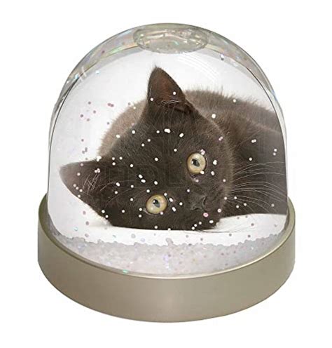 They provide a place for your cat to safely use the restroom indoors without making a mess. Advanta Stunning Black Cat Snow Dome Globe Gift, Multi ...
