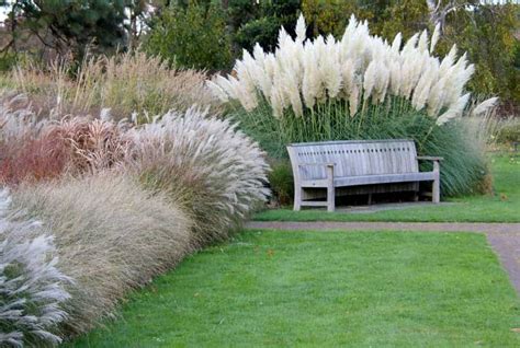 13 Easy Ornamental Grasses For Landscaping Your Garden