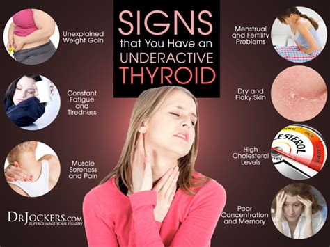 Underactive Thyroid Signs And Symptoms