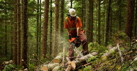 Forestry Worker Moulton College