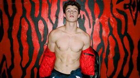 Shawn Mendes Strips Down For Sexy Flaunt Magazine Shoot