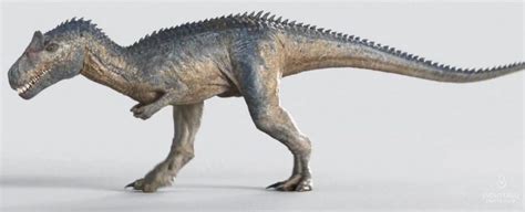 Allosaurus Jimmadseni Sf Sf Jwe Jurassic Pedia