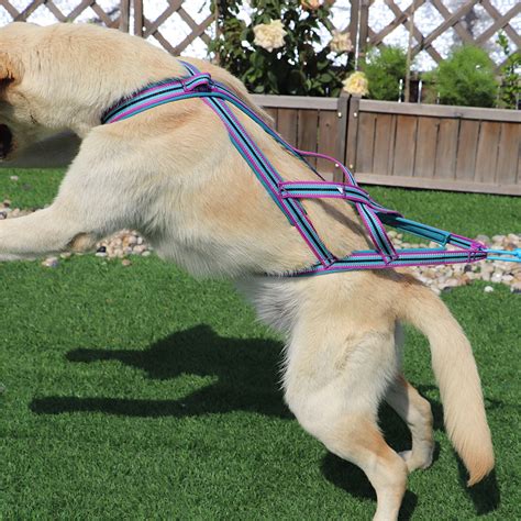 Pet Sled Harness Dog Pulling Harness Back Harness For Dog Etsy