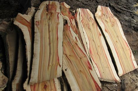 Flame Boxelder Milled Woodworking Talk Woodworkers Forum