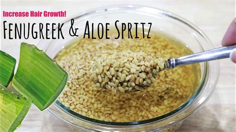 Have it everyday 1 tsp with rice and ghee to get soft and shiny hair. Fenugreek and Aloe Spray | Increase Your Hair Growth ...