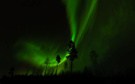 Free Download Aurora Borealis Northern Lights Night Green Trees Stars