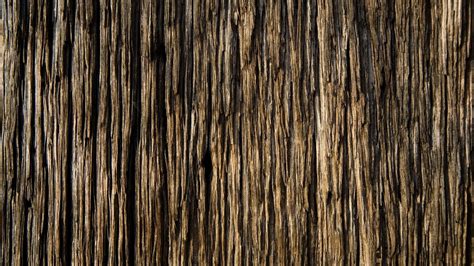 17 Fantastic Hd Tree Bark Wallpapers