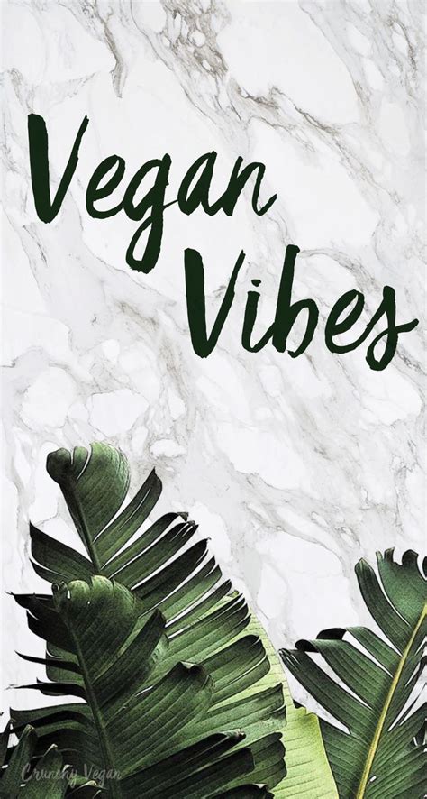 Vegan Wallpapers Top Free Vegan Backgrounds Wallpaperaccess Vegan