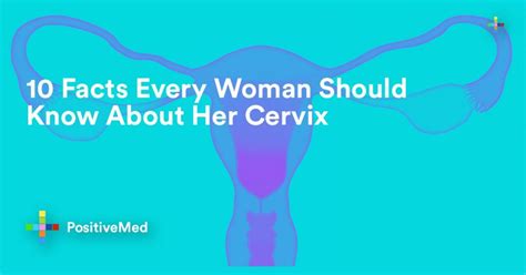 facts every woman should know about her cervix