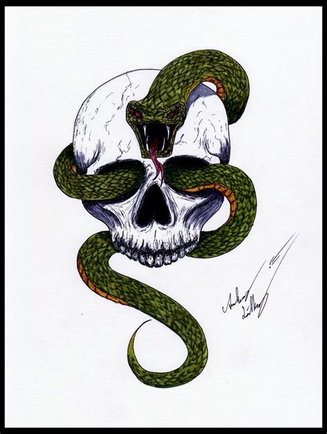 Snake Skull By Blackidus On Deviantart Snake Art Art Art Design
