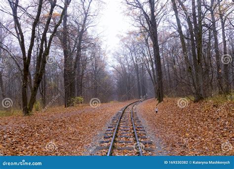 Railroad Single Track Through The Woods In Autumn Fall Landscape Stock
