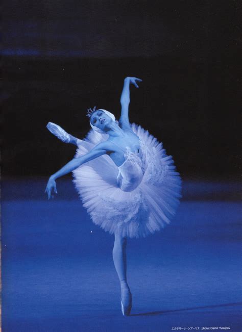 Bolishoi Ballet In Japan Bolshoi Ballet Swan Lake Dance Photography
