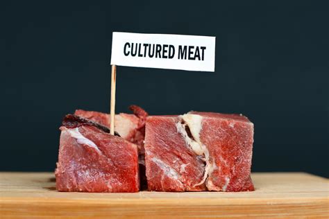 Cultivated Meat How Is It Made And Is It Vegan Veganuary