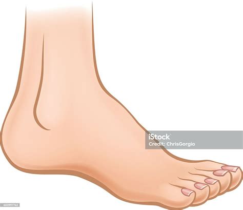 Cartoon Foot Stock Vector Art And More Images Of Anatomy 603997762 Istock