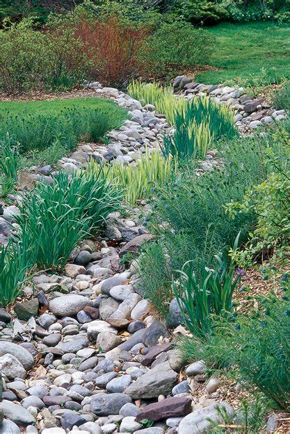 Build Your Own Rain Garden How To Build A Rain Garden Diy Network