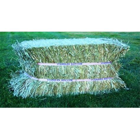 Standlee Premium Western Forage 1200 20025 0 0 Premium Timothy