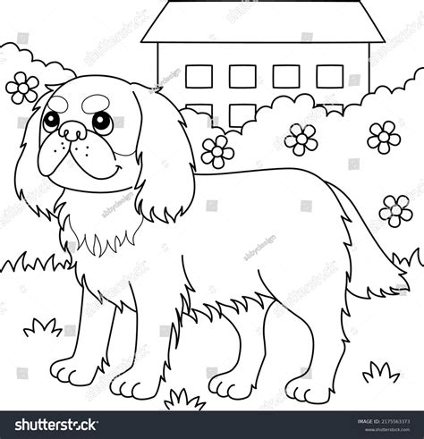 King Charles Spaniel Dog Coloring Page Stock Vector Royalty Free