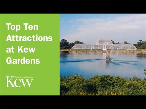 Kew Gardens Deep Listening Focus O English ESL Video Lessons