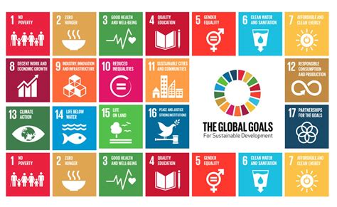 How can companies use the UN Sustainable Development Goals for ...