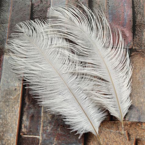 Buy High Quality 10pcs White Ostrich Feathers 6 8