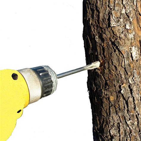 10 easy hacks for prepping your lawn for spring. Christmas Tree I-Vee Intravenous Watering System >>> Learn ...