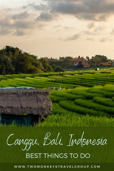 Vacation Spots Blog 5 Best Things To Do In Canggu Bali Indonesia Diy Travel Guide To Canggu