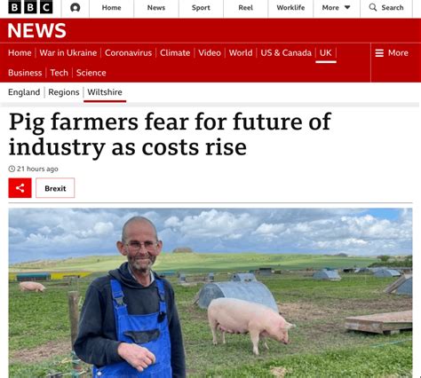 Pig Farmers Fear For Future Of Industry As Costs Rise Bbc News