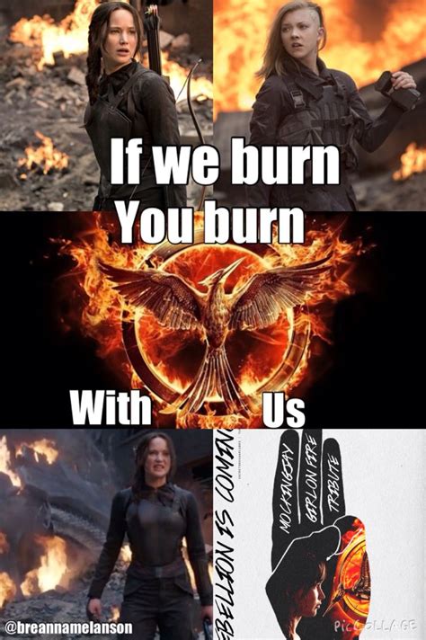 If We Burn You Burn With Us Katniss Everdeen Hunger Games Hunger