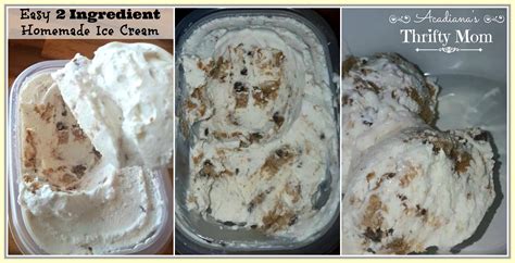 Easy 2 Ingredient Homemade Ice Cream Acadianas Thrifty Mom