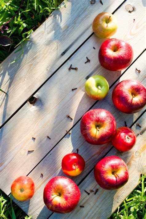 Autumn Apple Harvest Stock Photo Image Of Nutritious 61886826
