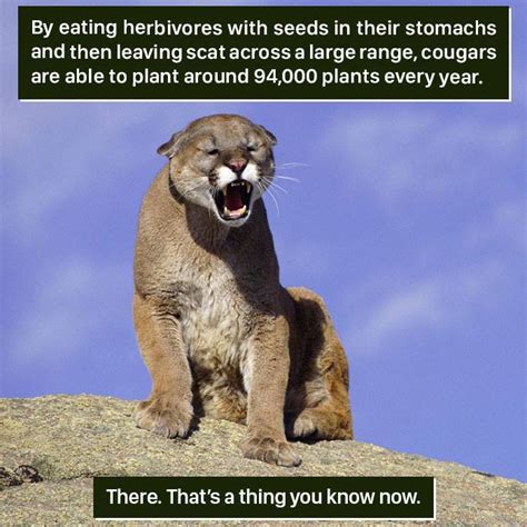 Weird Animal Facts Are Way Better Than Boring Human