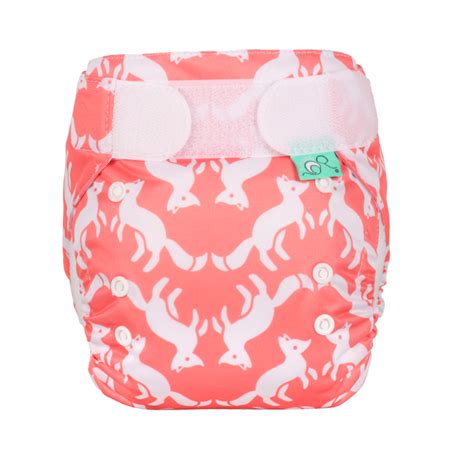 Totsbotswashable Diaper Te1 Easyfit Star V5 Foxtrot