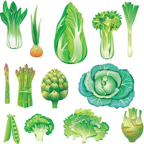 Free Vegetable Pictures Download Free Vegetable Pictures Png Images Free ClipArts On Clipart