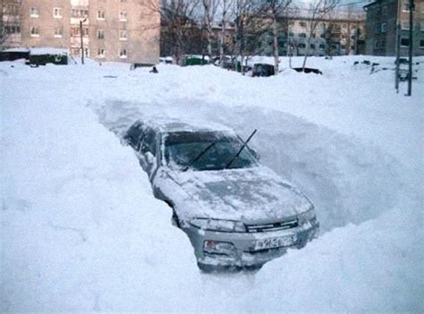 Dark Roasted Blend Cars Vs Snow