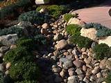 San Diego Landscaping Rock Pictures