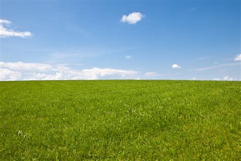 Green Grass Field With Stratus Clouds Wiese Hd Wallpaper Wallpaper Flare