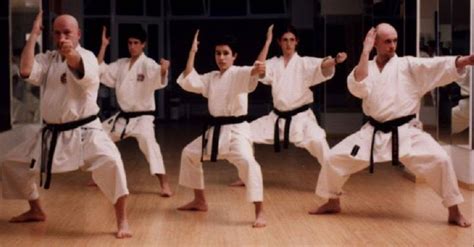 Karate Shito Ryu Boadilla Del Monte Boadilla Del Monte Acoge El