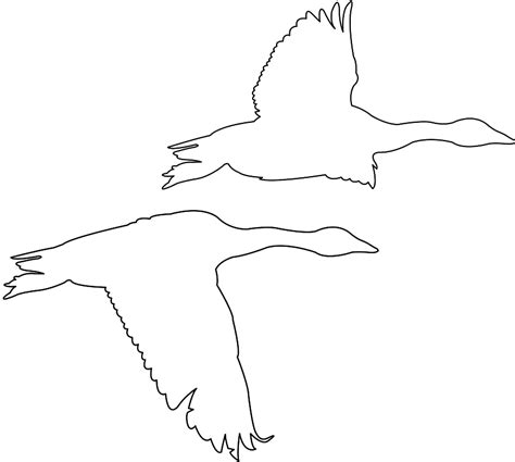 Flying Geese Silhouette Free Vector Silhouettes