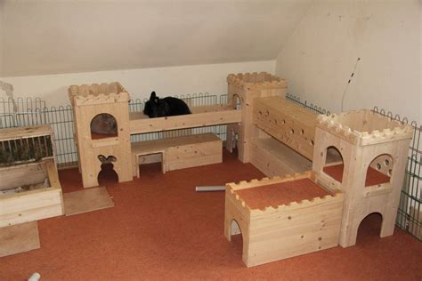 23rabbit Play Area Rabbit Playground Indoor Play Areas Tortoise Care