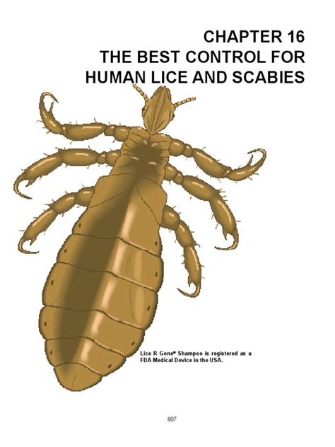 16 Lice And Scabies Wellness Nature