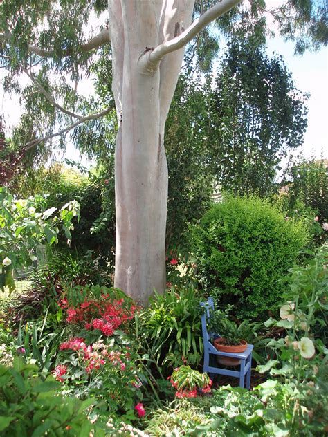 Foshan nature garden decor materials co., ltd. Uprooted Gardener: An Aussie Cotage Garden