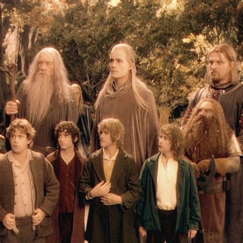 Umfang Mönch Systematisch The Lord Of The Rings The Fellowship Of The