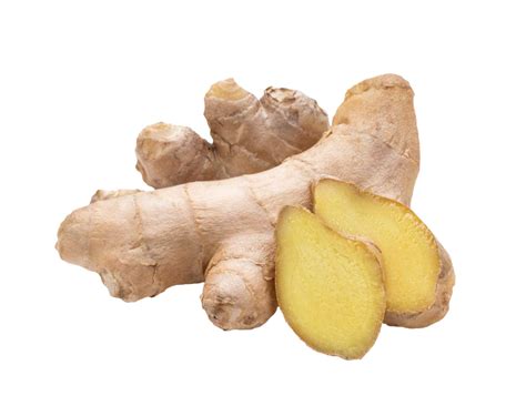 Root Of Ginger On A Transparent Background By Prussiaart On Deviantart