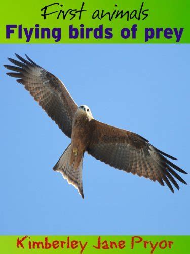 Flying Birds Of Prey First Animals Book 19 By Kimberley Jane Pryor