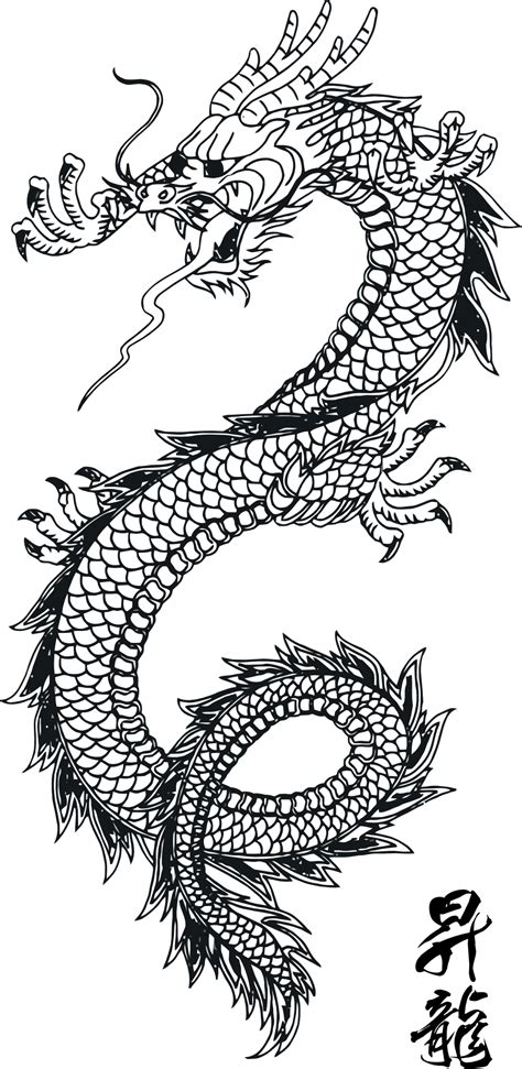 Line Art Traditional Chinese Dragon Scales And Pattern Without Form