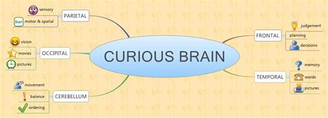 Curious Brain Xmind Mind Mapping Software